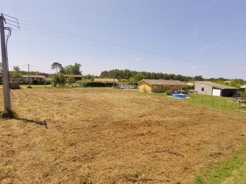 photo no. 2