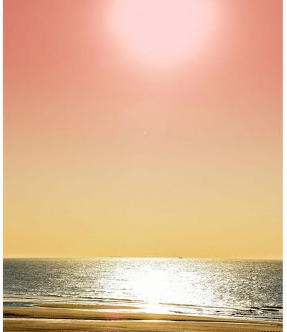 FeWo de 4 Biggetjes gezellig huis dichtbij strand, bos, zee, speeltuin. Middelburg, Vlissingen, VOC-stad Veere. Wellnessmassage/therapie!
