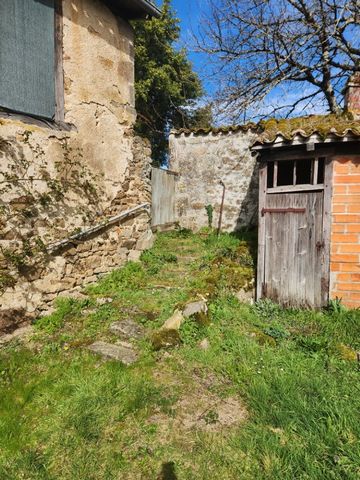 photo no. 13