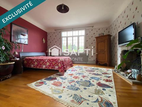 photo no. 10