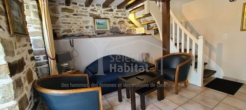 photo no. 15