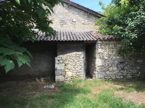 photo no. 16