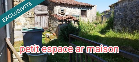 photo no. 14