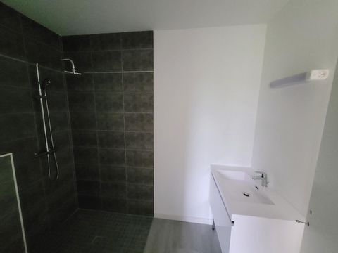 photo no. 6