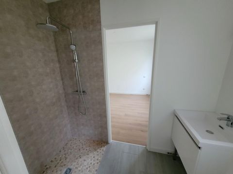 photo no. 8