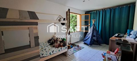photo no. 12