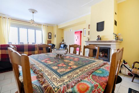 photo no. 8