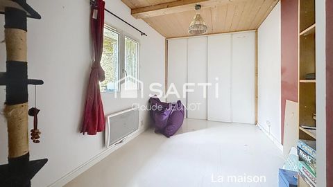 photo no. 8