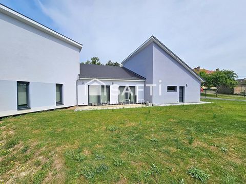 photo no. 11