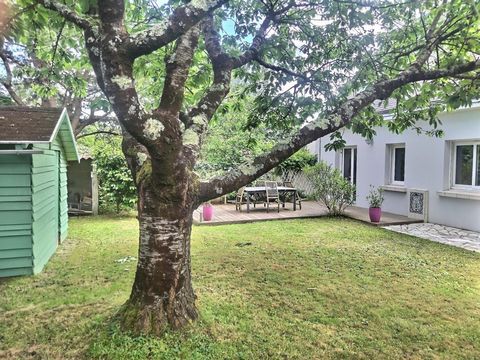 photo no. 10