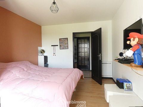 photo no. 11