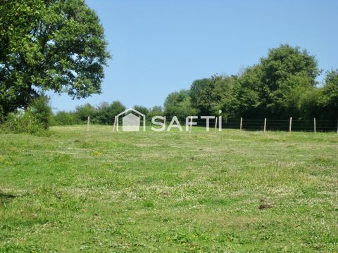 photo no. 10