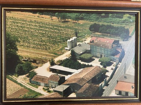 photo no. 14