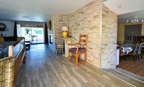 photo no. 11