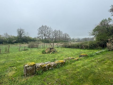photo no. 10