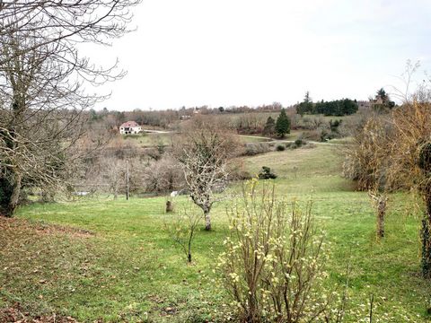 photo no. 9