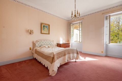 photo no. 8