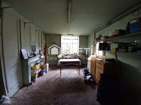 photo no. 11