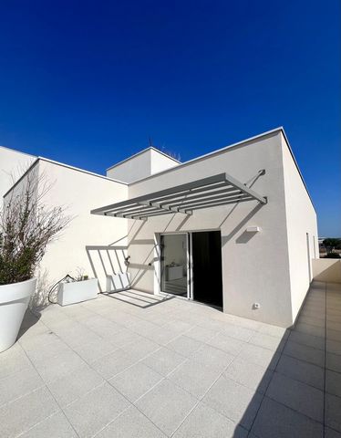 T4 d'exception – Montpellier Pompignane