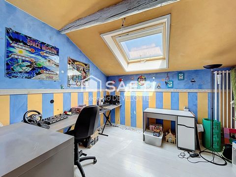 photo no. 9