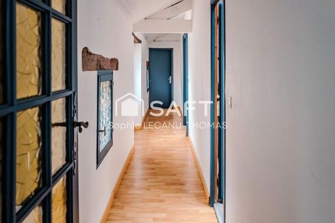 photo no. 12