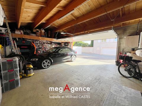 photo no. 11