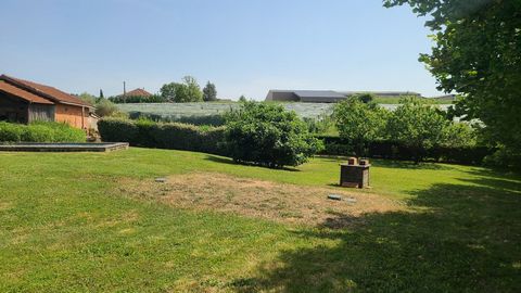photo no. 19
