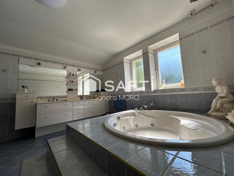 photo no. 12