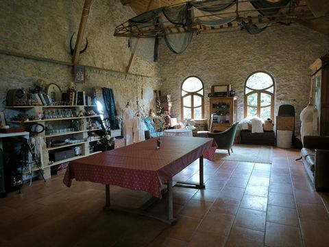 photo no. 10