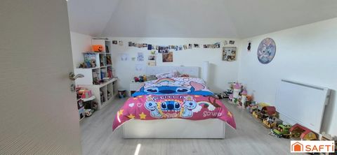 photo no. 11