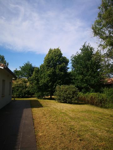 photo no. 2