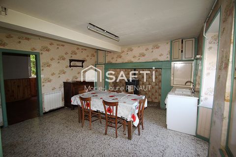 photo no. 7