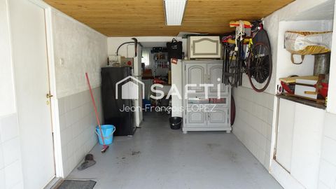 photo no. 8