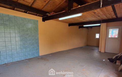 photo no. 12