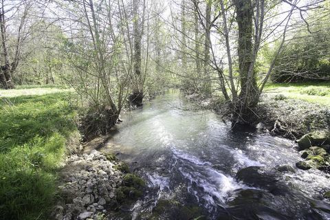 photo no. 18
