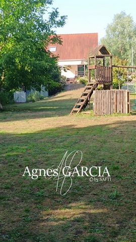 photo no. 12