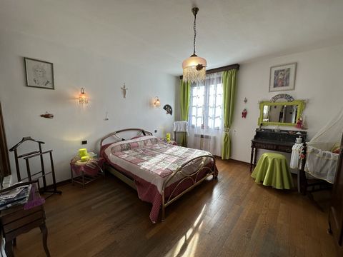 photo no. 6