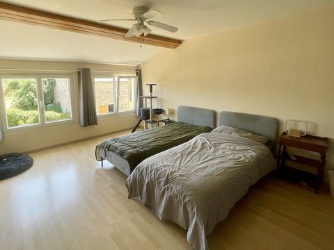 photo no. 12