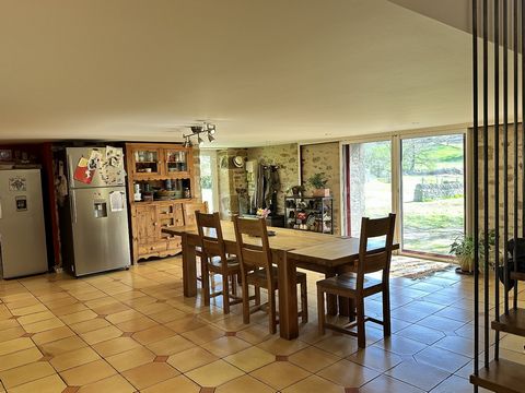photo no. 8