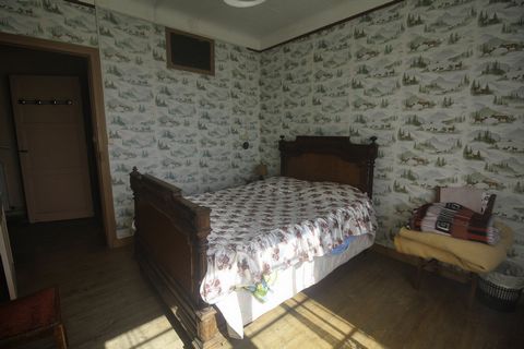 photo no. 6