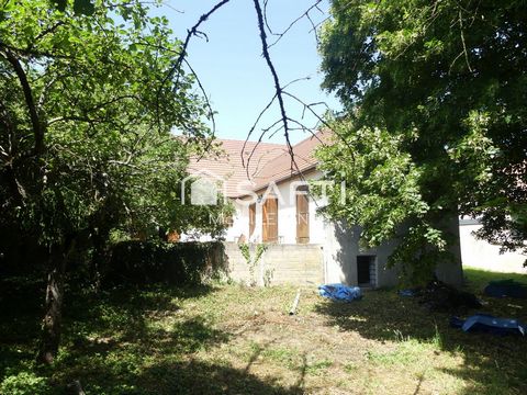 photo no. 10