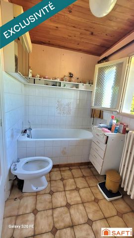 photo no. 16