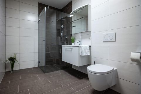 Welcome to Schwaz, the silver city of Tyrol! The City Apartments are centrally located and offer the ideal starting point for discovering the beauty of the region. Explore the historic old town of Schwaz, visit the impressive silver mine or enjoy a r...