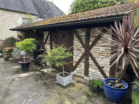 photo no. 17