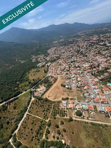 photo no. 2