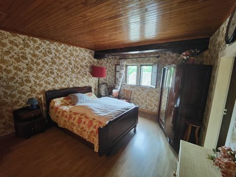 photo no. 17