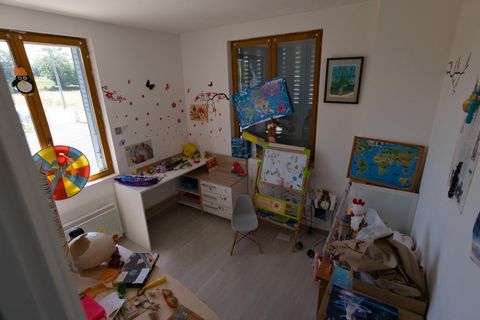 photo no. 7