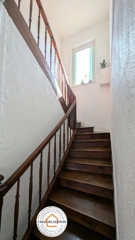 photo no. 8