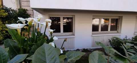 photo no. 1