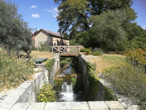 photo no. 2